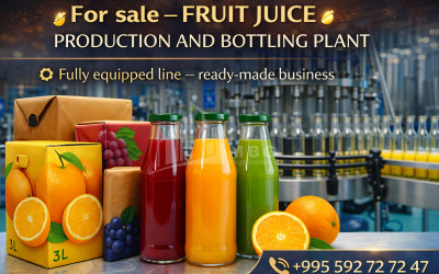 BusinessInvestment for Sale Business In Georgia