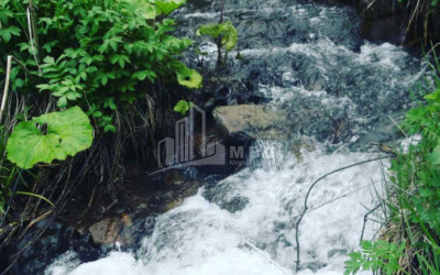 For Sale Agricultural Land, in Tsikhisjvari