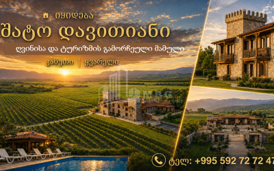 იყიდება შატო / ღვინის ქარხანა / მარანი კომერციული ფართი ქალაქ ყვარელში, ყვარელი