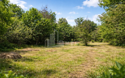 For-Sale-Land-Mchadijvari-village-Dusheti-Mtskheta---Mtianeti