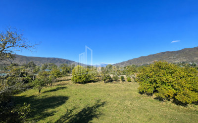 For Sale Old building House - Villa In the Village Choporti, Dusheti