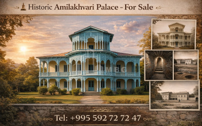 Продается-Коммерческий-Каспси-Шида-Картли