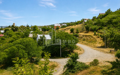 For Sale Country Land In Iltosa village, Dusheti
