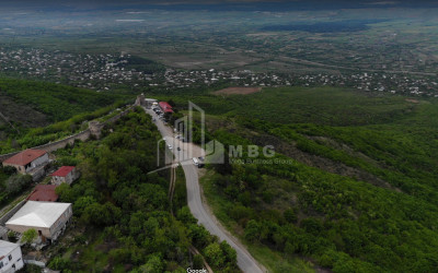 For Sale Land, Signagi Municipality, Municipalities of Kakheti