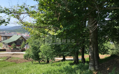 For Sale Hostel - Guesthouse Commercial In Bakuriani, Borjomi