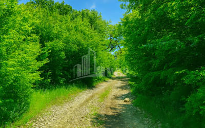 Продается Земля Гомбори Сагареджо Кахети