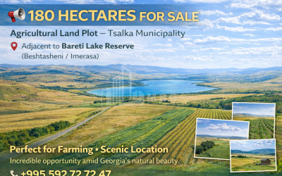 For-Sale-Land-Tsalka-Kvemo-Kartli