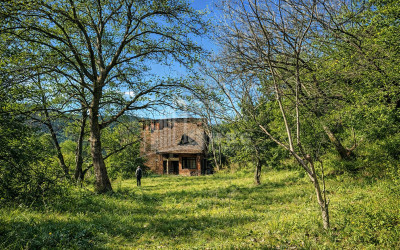 For Sale Old building House - Villa In Sagarejo