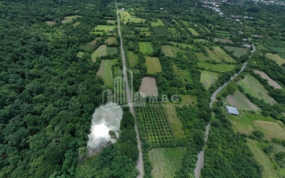 For Sale Land Sabue Kvareli Kakheti