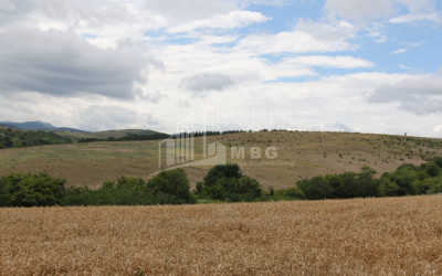 For Sale Country Land, in Borjomi