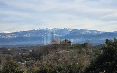 იყიდება ძველი აშენებული სახლი - აგარაკი ზემო ნატანებში, ოზურგეთი