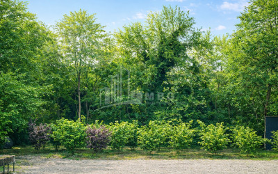 Business for sale Commercial Telavi Kakheti