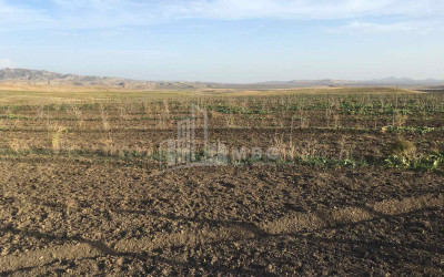 For-Sale-Land-Dedoplistskaro-Kakheti