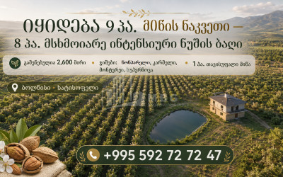 იყიდება ხეხილის ბაღი მიწის ნაკვეთი ბოლნისისში