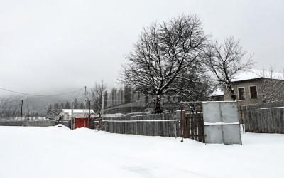 For Sale Country Land In Andesite, Borjomi