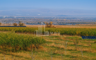 იყიდება მიწის ნაკვეთი სოფელი შაუმიანი მარნეული ქვემო ქართლი