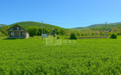 For Sale House Villa Bazaleti Dusheti Mtskheta   Mtianeti