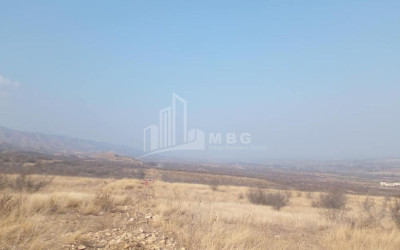 For Sale Land Samtatskaro Dedoplistskaro Kakheti