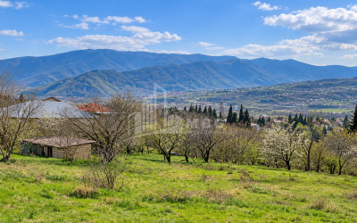 For Sale Country Land In Tsitsamuri, Mtskheta