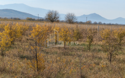 იყიდება მიწის ნაკვეთი სოფელი შაუმიანი მარნეული ქვემო ქართლი