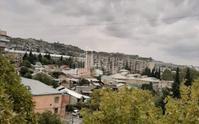 For Sale Flat, in Nadzaladevi