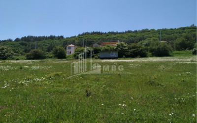 For Sale Residential Land, in Tsavkisi