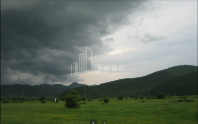 For Sale Vineyard - Chateau Land, in Matani