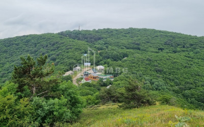 Продается Дом - Вилла В Коджори, Мтацминда Район