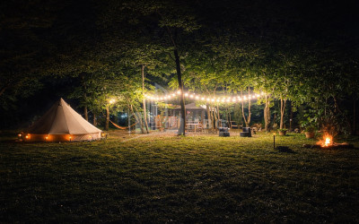 Business for sale Commercial Telavi Kakheti