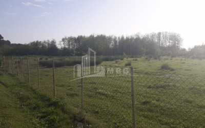 For Sale Country Land, in Lanchkhuti