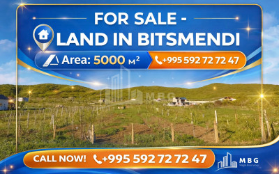 Продается Коммерческий, Мухрани, Мцхета, Мцхета   Мтианети