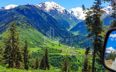 იყიდება სააგარაკე მიწის ნაკვეთი, წვირმი