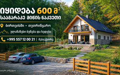 For Sale Country Land In Birtvisi Gorge, Tetritskaro