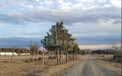 Продается Земля Brotseula Road Цинубани Самгорский Райогн Тбилиси