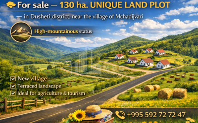 For Sale Country Land In Dusheti