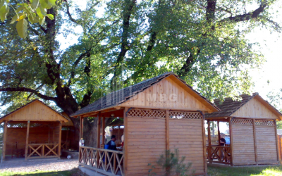 For Sale Country Land, in Misaktsieli