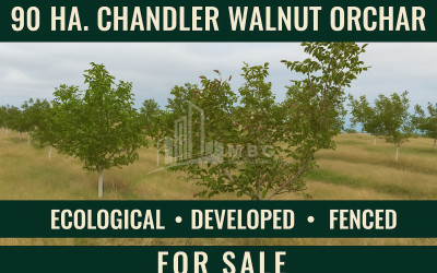 იყიდება კომერციული ფართი აღაიანი კასპი შიდა ქართლი