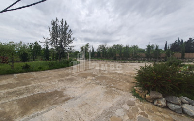 For Sale Commercial, Mukuzani, Gurjaani Municipality, Municipalities of Kakheti