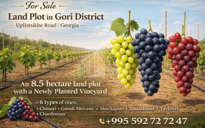 For Sale Commercial Akhaltsikhe Samtskhe   Javakheti