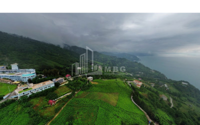 იყიდება კომერციული - არასასოფლო მიწის ნაკვეთი სარფში, ხელვაჩაური