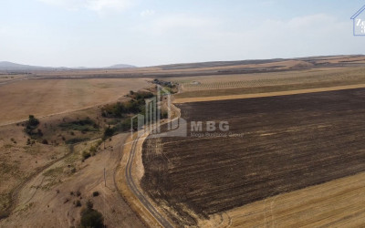 For Sale Land, Khashmi, Sagarejo Municipality, Municipalities of Kakheti