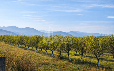 For Sale Land Village Shaumiani Marneuli Kvemo Kartli