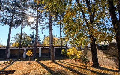 Продается Коммерческий Ахмета Кахети