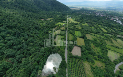 For Sale Land Sabue Kvareli Kakheti