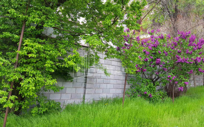 Продается Дом - Вилла, в Мцхета