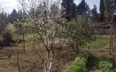 For Sale Residential Land, in Dighmis Chala