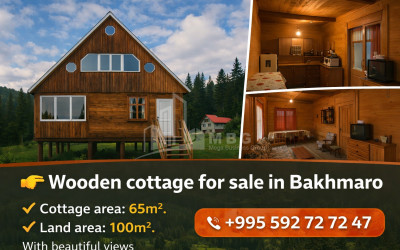 იყიდება ძველი აშენებული სახლი - აგარაკი ბახმაროში, ჩოხატაური