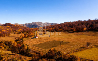 For Sale Land Zemo Gostibe Kaspi Shida Kartli