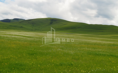 Продается-Земля-Город-Дманиси-Дманиси-Квемо-Картли