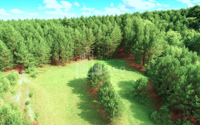For Sale Land Daba Surami Khashuri Shida Kartli